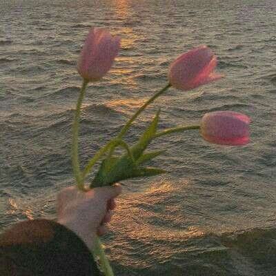 bsport体育在线登录截图